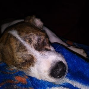 Meet your Posher, Dylan